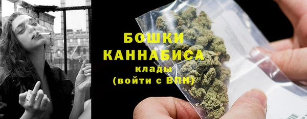 шишки Богородск
