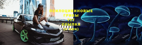 шишки Богородск