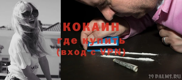 шишки Богородск