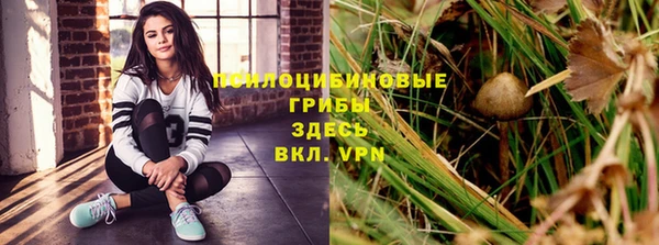 шишки Богородск