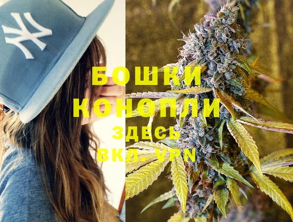 шишки Богородск