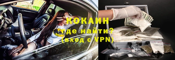 PSILOCYBIN Богородицк