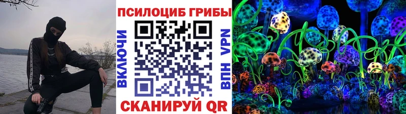 Галлюциногенные грибы Psilocybe Среднеуральск
